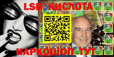 прущие грибы Будённовск