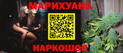 прущие грибы Будённовск