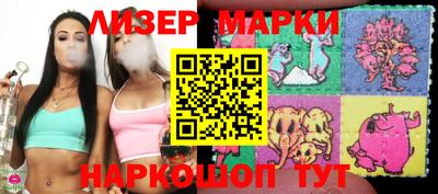прущие грибы Будённовск