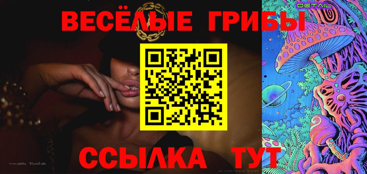 Элиста  Псилоцибиновые грибы Cubensis  Вход с VPN 